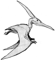 Pteranodon Coloring Page