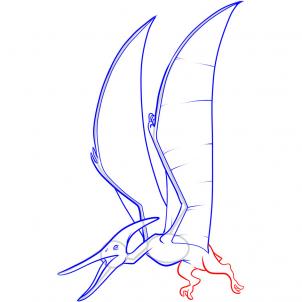 Pteranodon Coloring Page