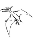 Pteranodon Coloring Page