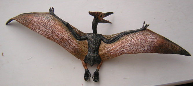 Pteranodon Dinosaur