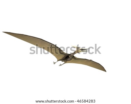 Pteranodon Dinosaur