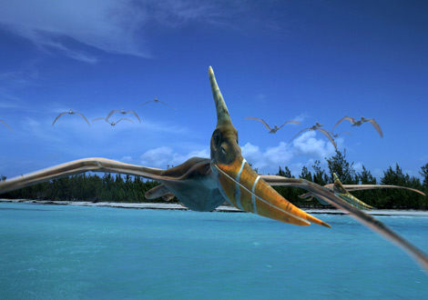 Pteranodon Dinosaur