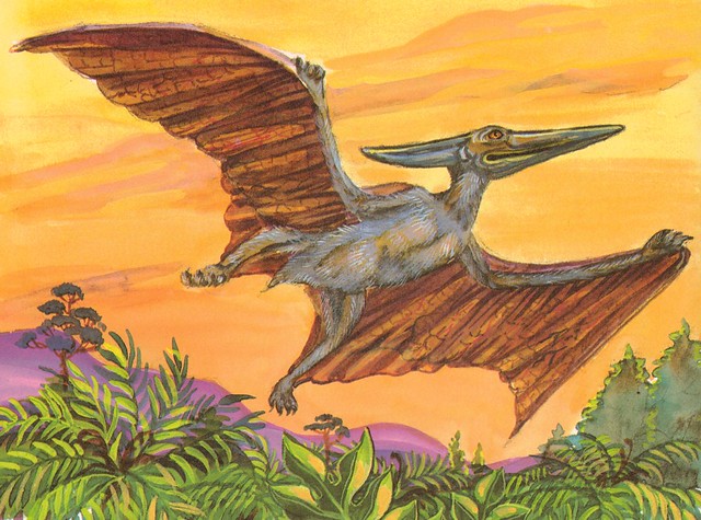 Pteranodon Dinosaur