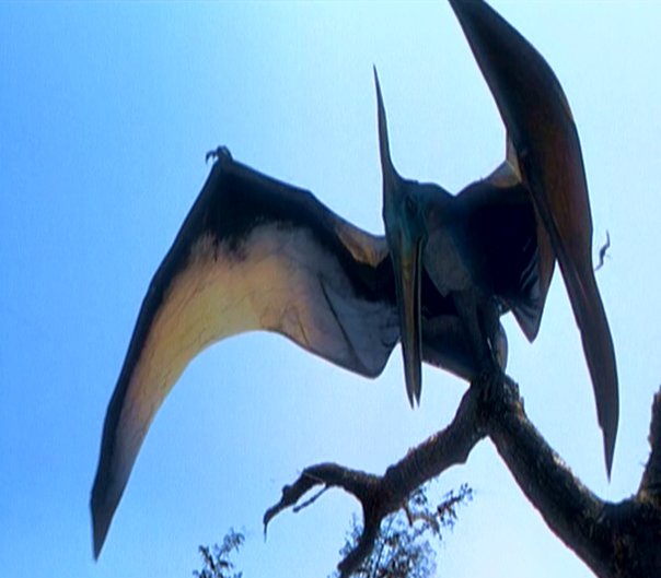 Pteranodon Dinosaur King