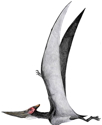 Pteranodon Dinosaur King