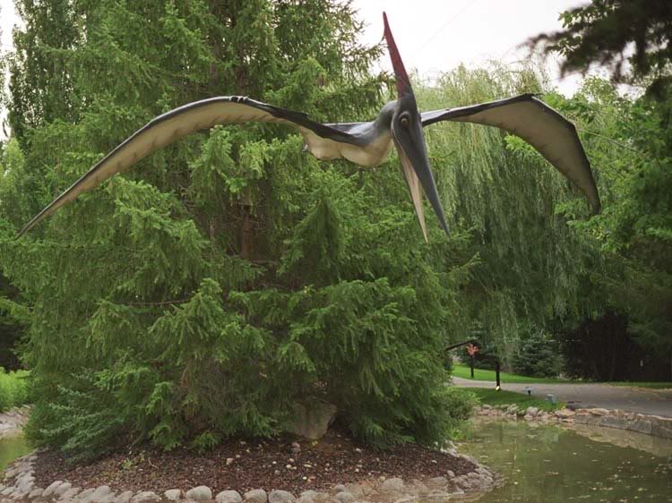 Pteranodon Facts