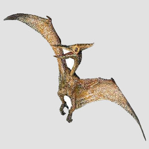 Pteranodon Facts