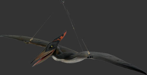 Pteranodon Facts