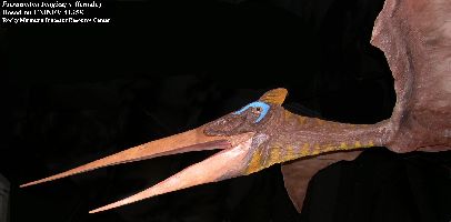 Pteranodon Facts