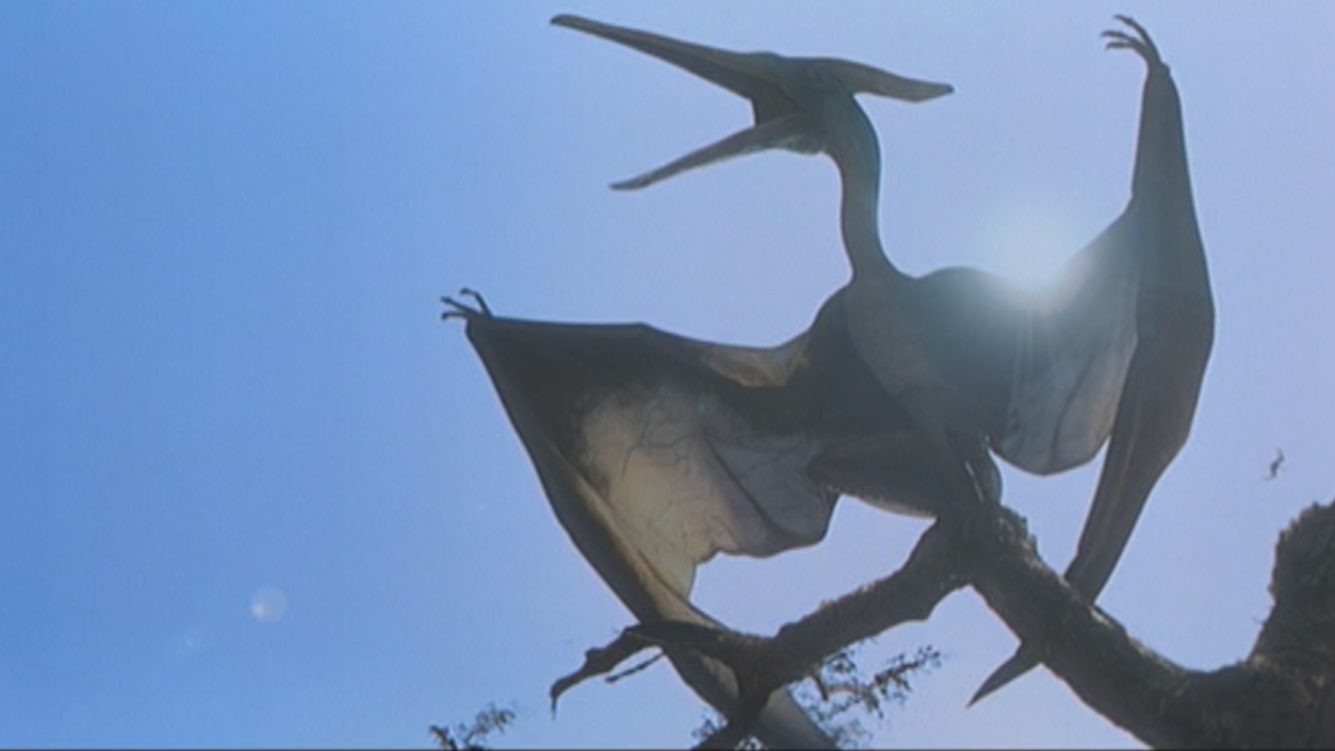 Pteranodon Facts For Kids