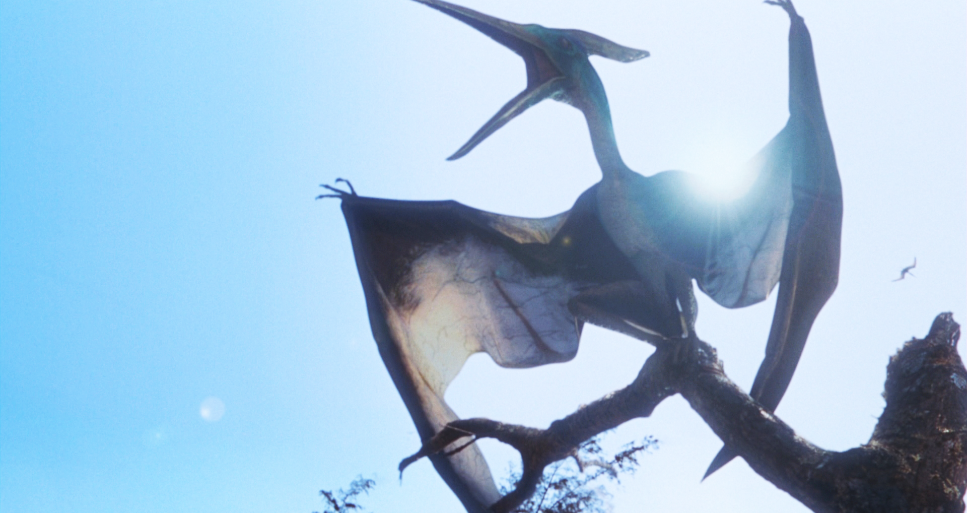 Pteranodon Facts For Kids