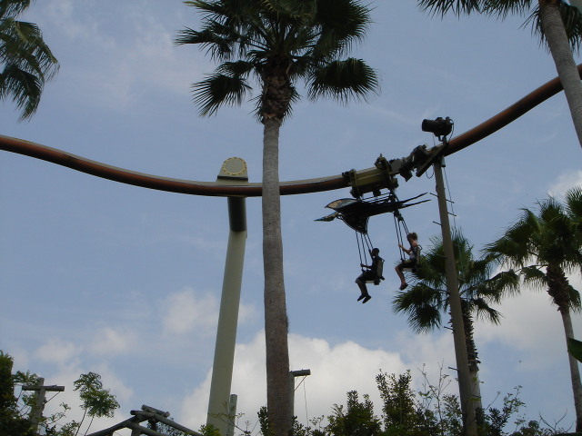 Pteranodon Flyers