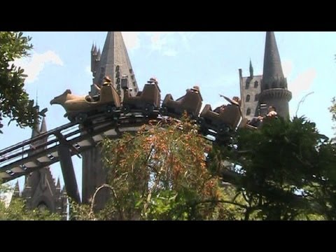 Pteranodon Flyers Pov