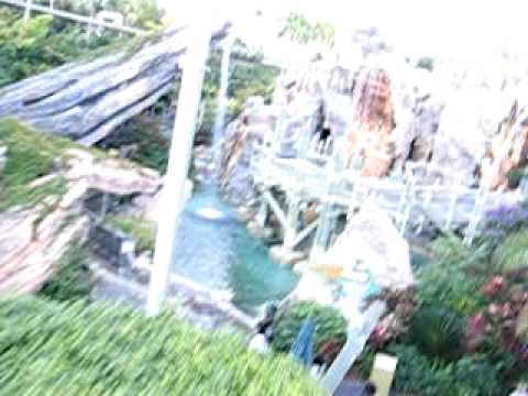 Pteranodon Flyers Pov