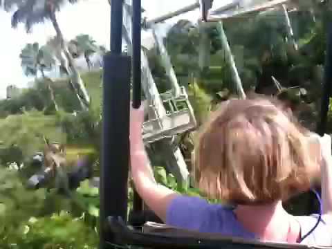 Pteranodon Flyers Pov