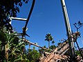 Pteranodon Flyers Review