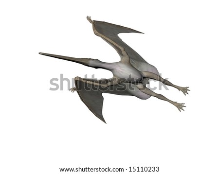 Pteranodon Vs Pterodactyl