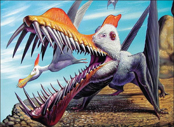 Pteranodon Vs Pterodactyl