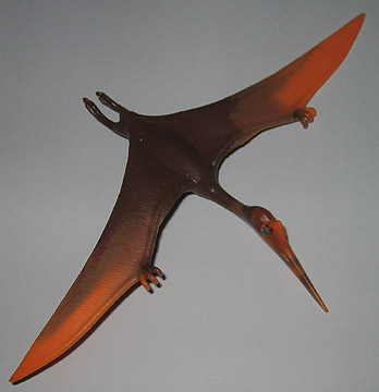 Pteranodon Vs Pterodactyl