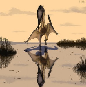 Pterosaur Dinosaur