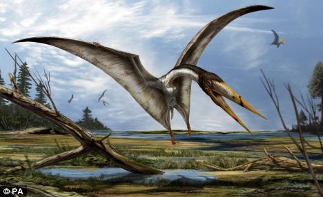 Pterosaur Dinosaur