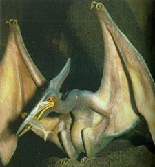 Pterosaur Dinosaur