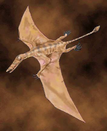 Pterosaur Dinosaur