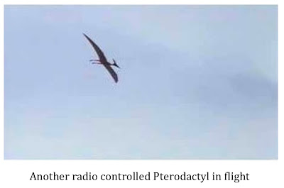 Pterosaur Sighting