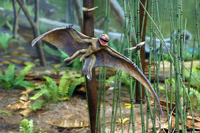 Pterosaur Sightings 2011