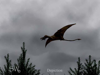 Pterosaur Sightings 2011