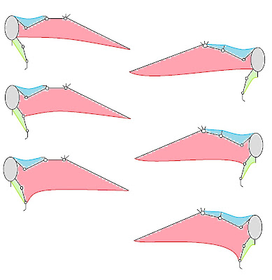 Pterosaur Wing