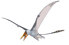 Pterosaur Wing Span