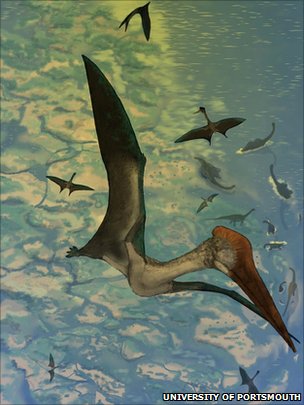 Pterosaur Wing Vs Bird Wing