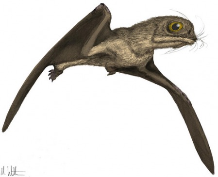 Pterosauria