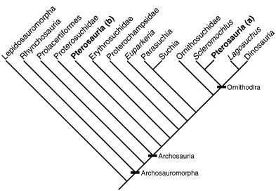 Pterosauria