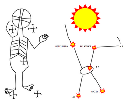 Ptica Kos Je Simbol