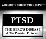 Ptsd Treatment For Children