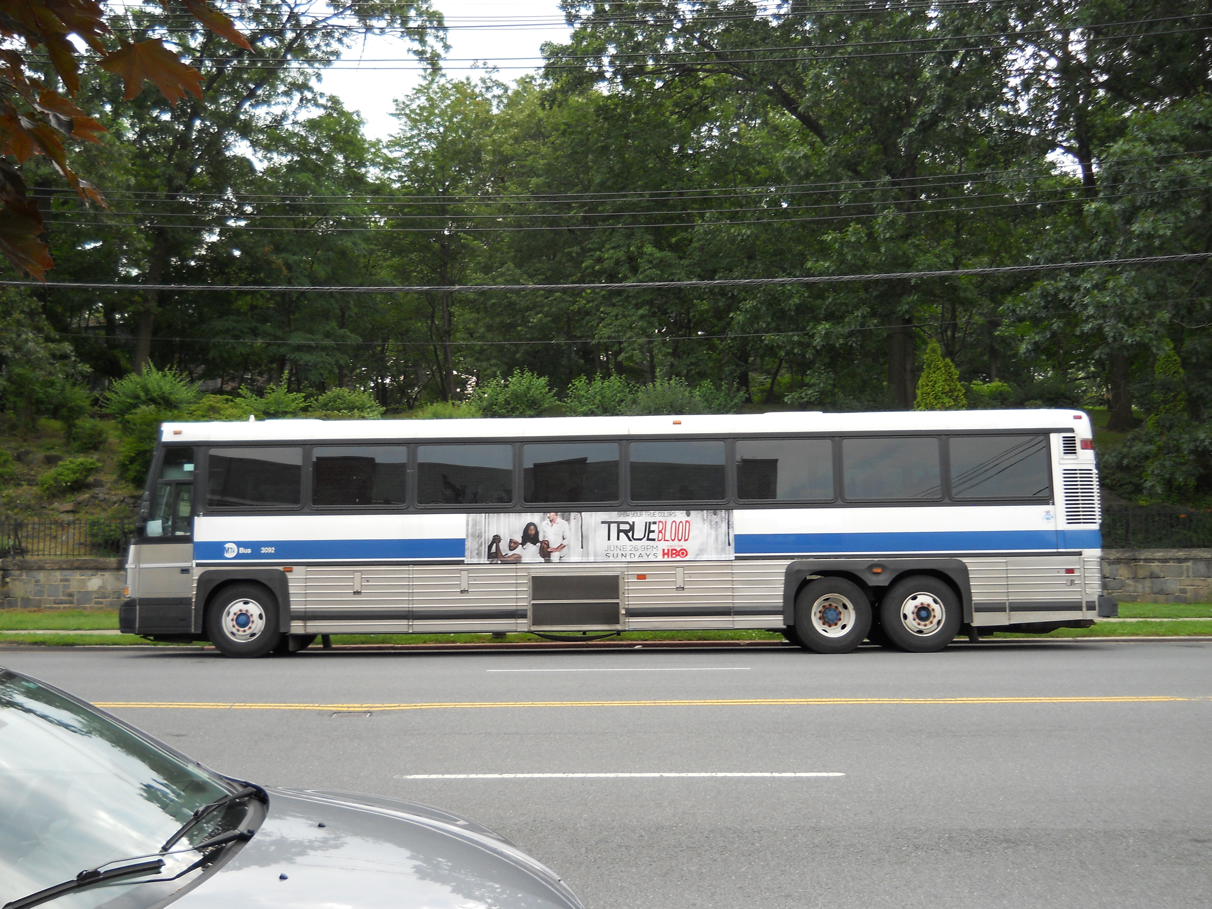 Public Bus Side View