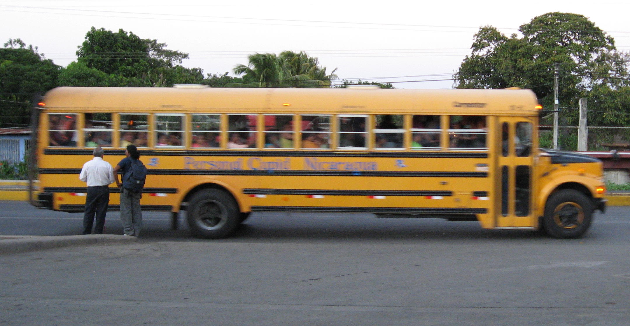 Public Bus Side View