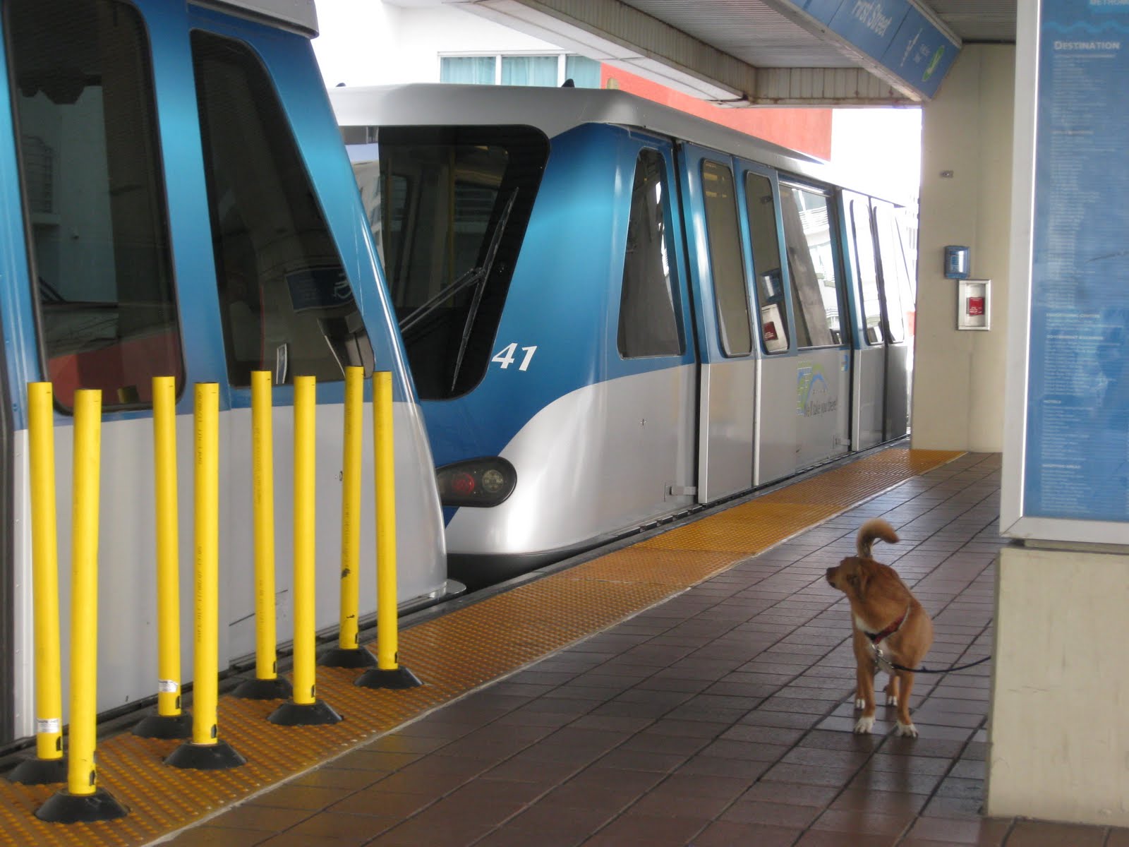 Public Bus Transportation In Miami