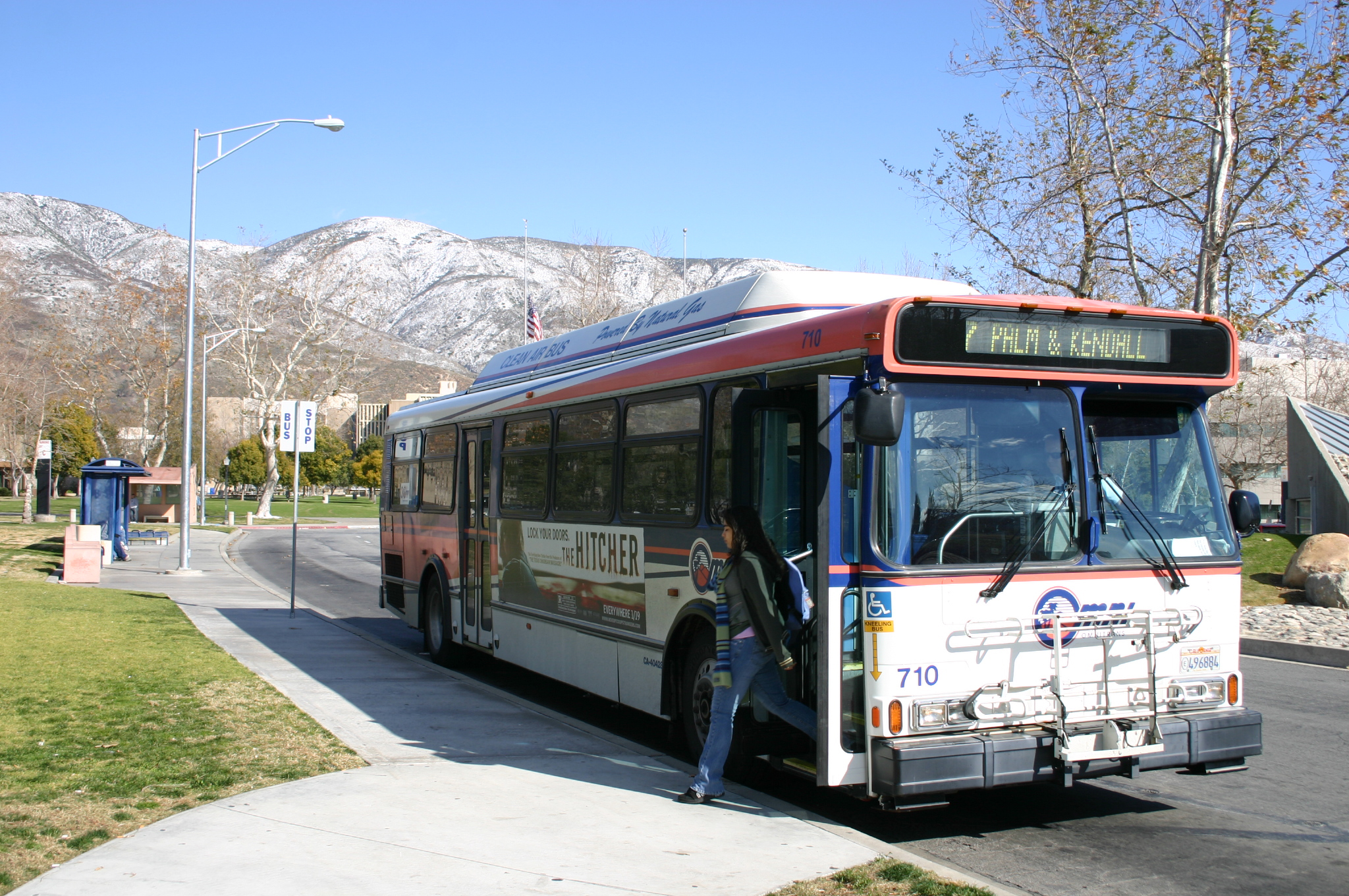 Public Buses