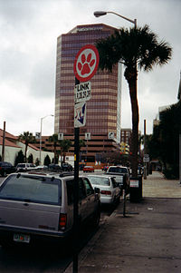 Public Buses In Orlando