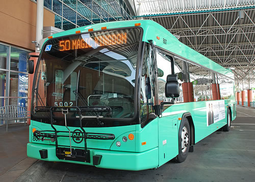 Public Buses In Orlando