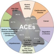 Public Health Intervention Wheel Examples