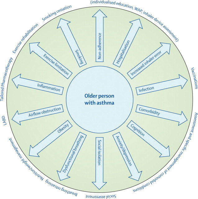 Public Health Intervention Wheel Examples