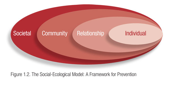 Public Health Model Of Prevention