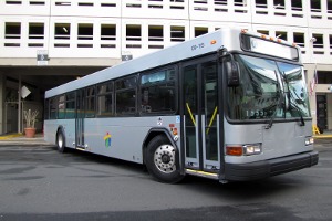 Public Transportation Bus