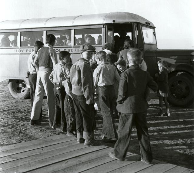 Public Transportation Buses For Sale