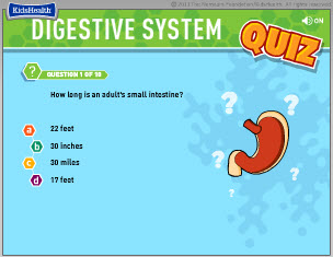 Quiz Games For Kids Online