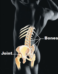 Quizlet Anatomy And Physiology Chapter 22